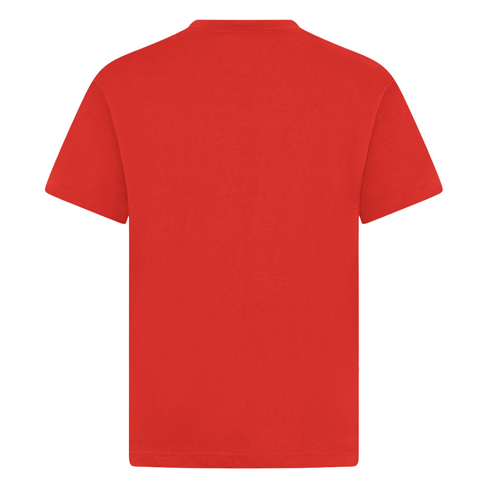 Adult Cotton T-Shirts (Colours)