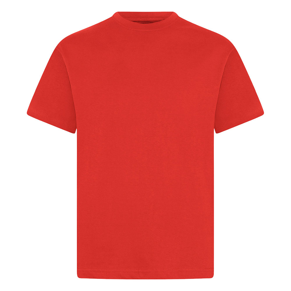 Adult Cotton T-Shirts (Colours)