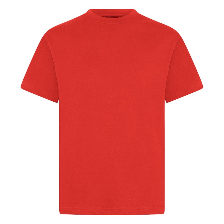 Adult Cotton T-Shirts (Colours)